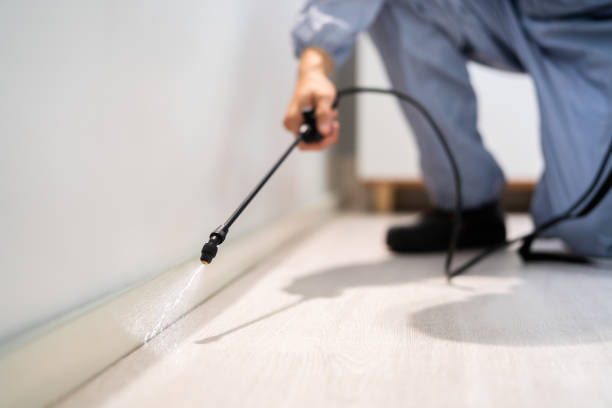 Bed Bug Pre-Treatment Preparation Assessment in Sebewaing