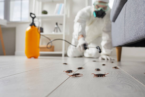 Post-Treatment Bed Bug Interceptor Monitoring in Sebewaing