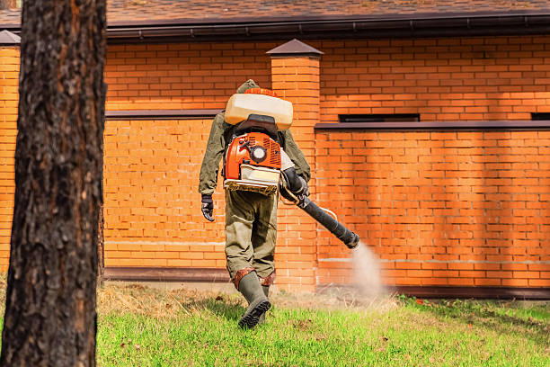 Bed Bug Clearance Verification and Documentation in Sebewaing